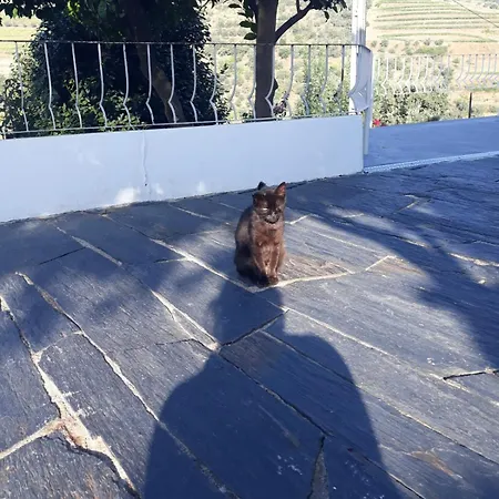 Gasthuis Casa Laranjeiras 4*