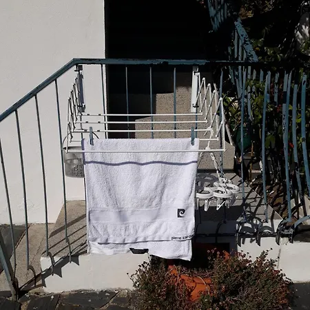 Guest house Casa Laranjeiras *