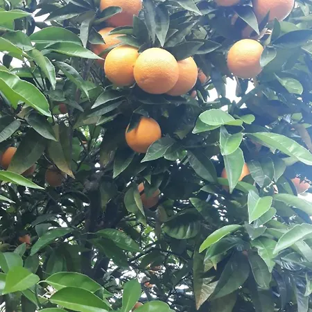 Casa Laranjeiras * Pinhao