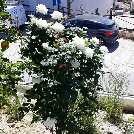 Guest house Casa Laranjeiras *