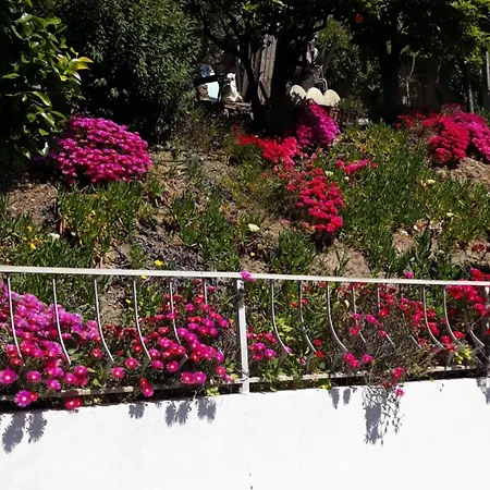 Casa Laranjeiras 4* Pinhão