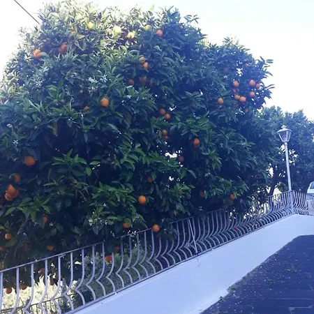 Casa Laranjeiras * Pinhao