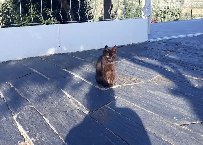 بيت ضيافة Casa Laranjeiras 4*