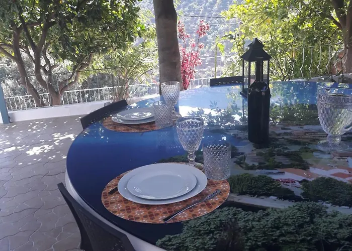 بيت ضيافة Casa Laranjeiras Pinhão