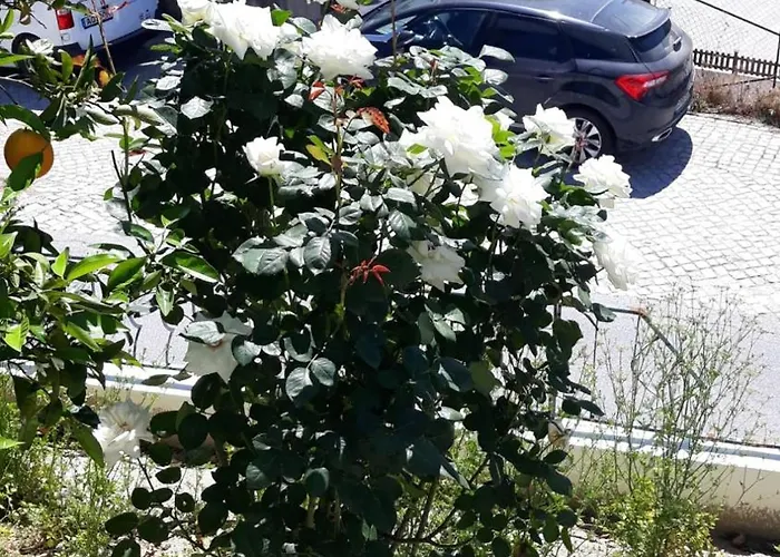 بيت ضيافة Casa Laranjeiras 4*