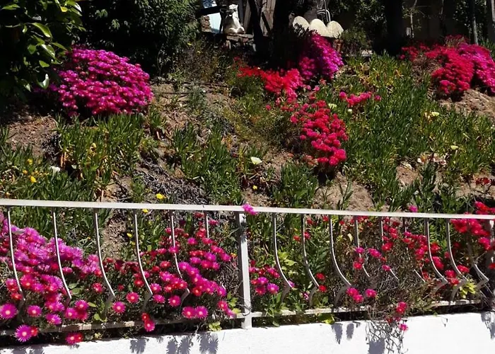 Casa Laranjeiras 4* Pinhão