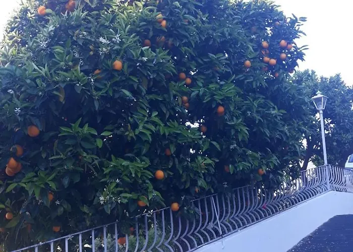 Casa Laranjeiras 4* Pinhão